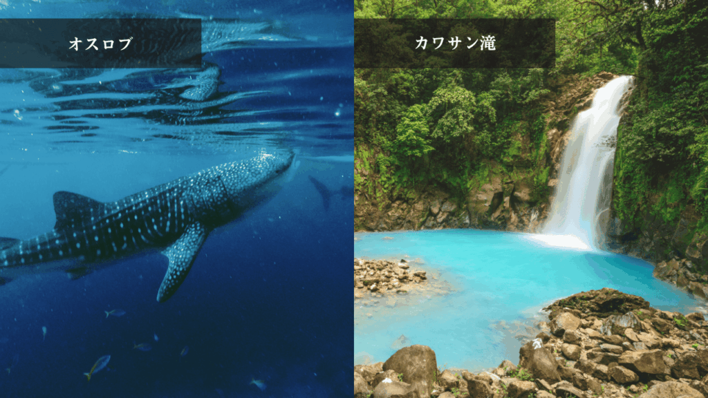 フィリピン（セブ島）