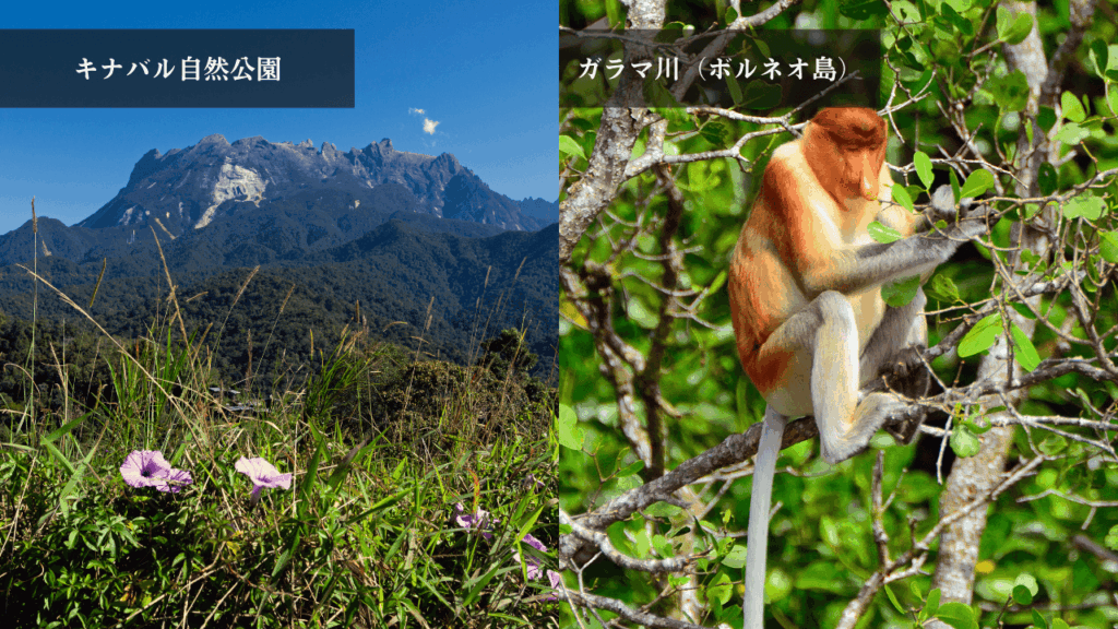 マレーシア（ボルネオ島・コタキナバル）観光地
